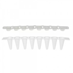 0.1mL 8-Strip Tube and Cap