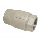 2" Stainless Steel Check Valve
