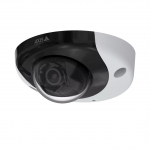 P3935-LR M12 Network Camera 1920 x 1080