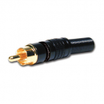 RCA Male Black and Gold
