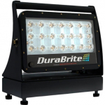 Explorer X16 Amber LED Regular Floodlight