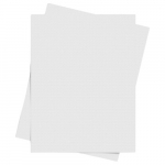 DS Transfer 8.5" x 11" Sheet Multi-Use Paper
