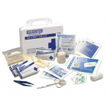 ANSI Z308.1-2009 25 Plastic First Aid Kit