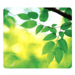 Recycled Mouse Pad, Leaves
