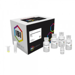 Viral DNA Extraction Kit, 50 Preparations