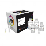 Viral DNA Extraction Kit, 100 Preparations
