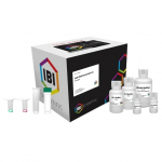 Soil DNA Extract Kit for 50 Preparations