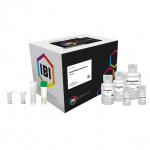 Fecal DNA Extract Kit for 50 Preparations