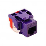 Cat6 Jack Purple Color