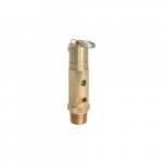 1" Seat Safety Valve, 140 PSI 561 SCFM