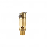 1/2" Safety Valve, 145 PSI 583 SCFM