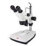 SMZ 171 Series Binocular Stereo Microscope