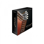Ethno Instrument 2 Virtual Instrument