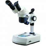 Dual Mag. Stereo Microscope, 2x&4x