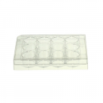 Flat Bottom 12 Well Cell Culture Plate