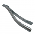 Dental Extraction Forcep, Upper Incisors