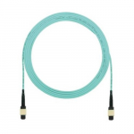 Fiber Interconnect Cable Assembly, 82 Ft