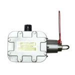 Proof Switch with Flag Indicator with Light