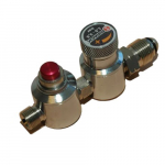 Adjustable Pressure Regulator, 21-50 PSI, US-BS