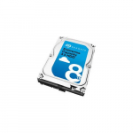 8TB SAS 7200RPM 256MB Hard Drive