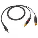 iPod/iPad Summing Cable Dual RCA Male to 3.5mm, 3'