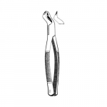 #88L Extracting Forceps