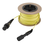 3001 L5 Direct Read Cable 100' for the Levelogger 5