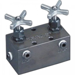 2-Port Manifold with Two Needle Valves, 3/8" NPTF