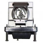 Projector Lamp for D-8800/D-8010W/D-8900
