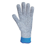 Glove Antimicrobial LN-10, Large