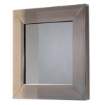 Generation Polished Mirror with Stainless Steel Frame