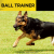 Additional image #5 for Dogtra BALL TRAINER