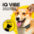 Additional image #3 for Dogtra iQ VIBE