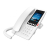 Fanvil H6W-W